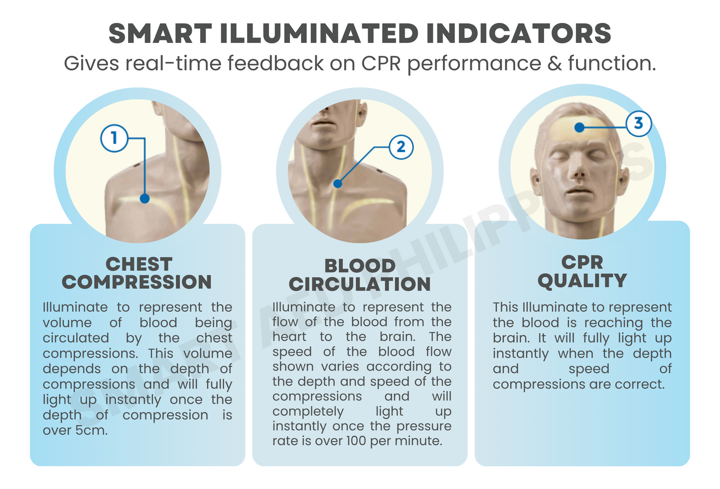 SmartMann CPR Manikin